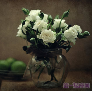 白玫瑰花语:9朵白玫瑰代表什么意思?