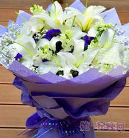 送什么花代表友谊?