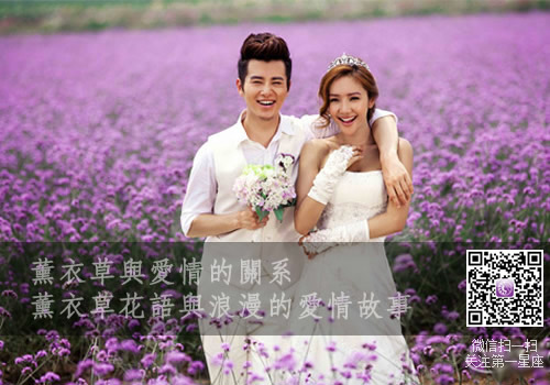 薰衣草花语与浪漫的爱情故事