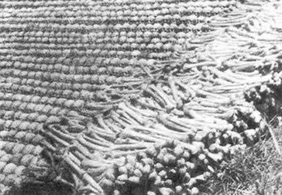 日军攻陷衡阳,在衡阳烧杀淫掠